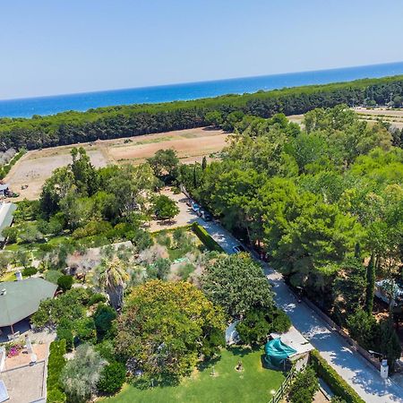 Bio Agriturismo Salos Alimini Eksteriør bilde