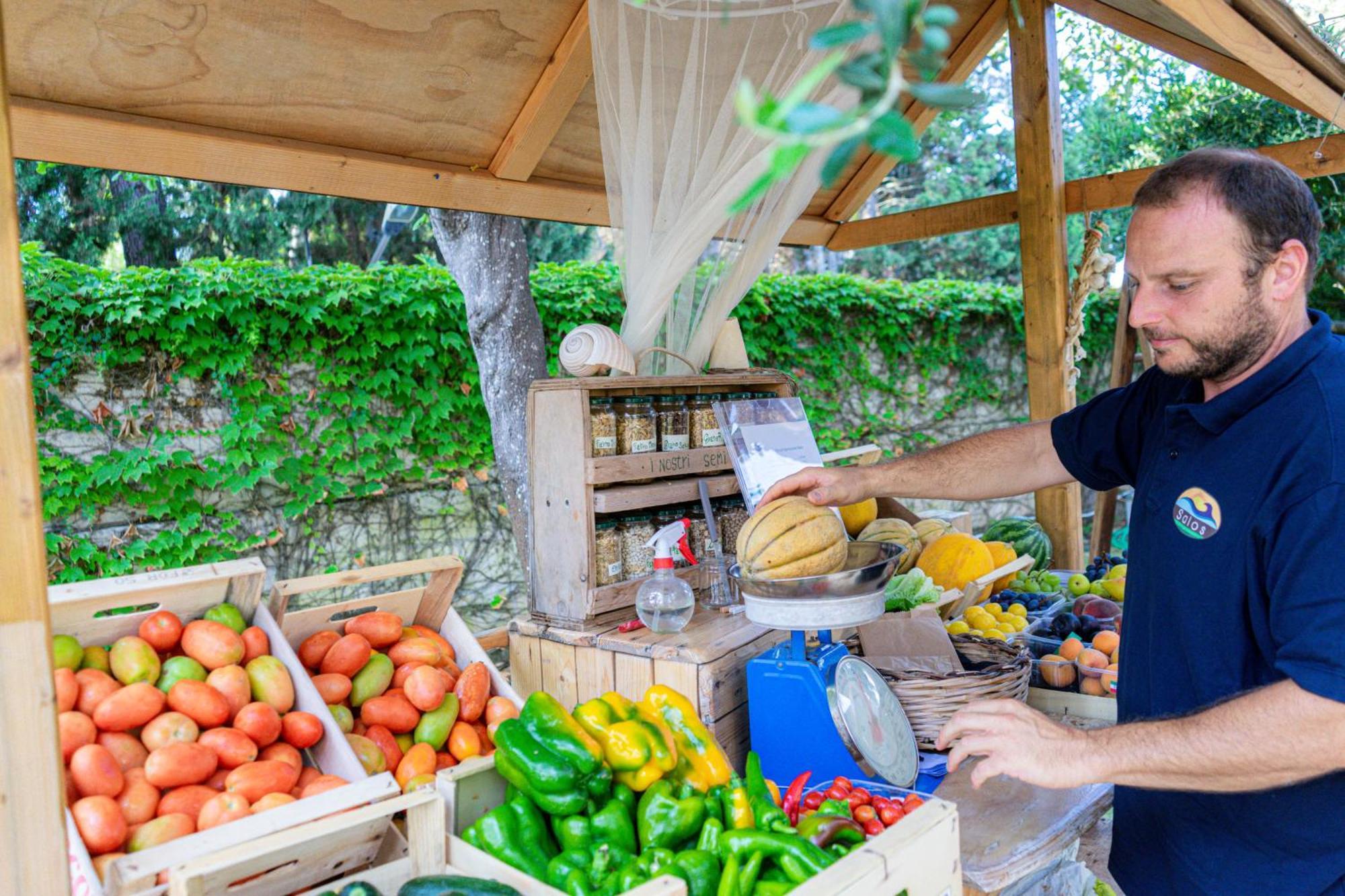 Bio Agriturismo Salos Alimini Eksteriør bilde
