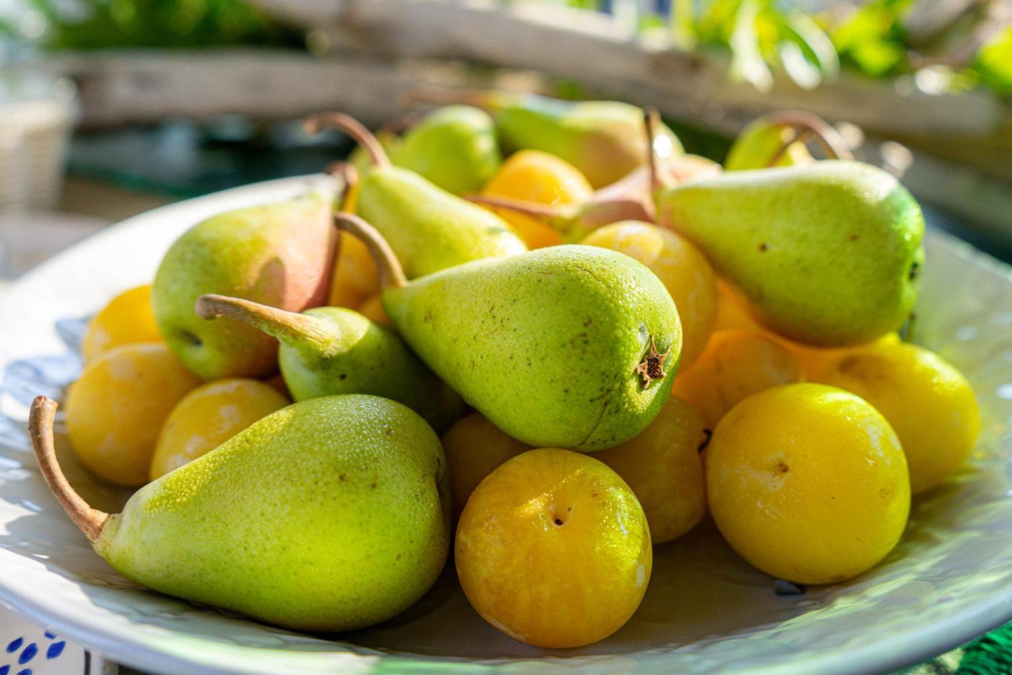 Bio Agriturismo Salos Alimini Eksteriør bilde