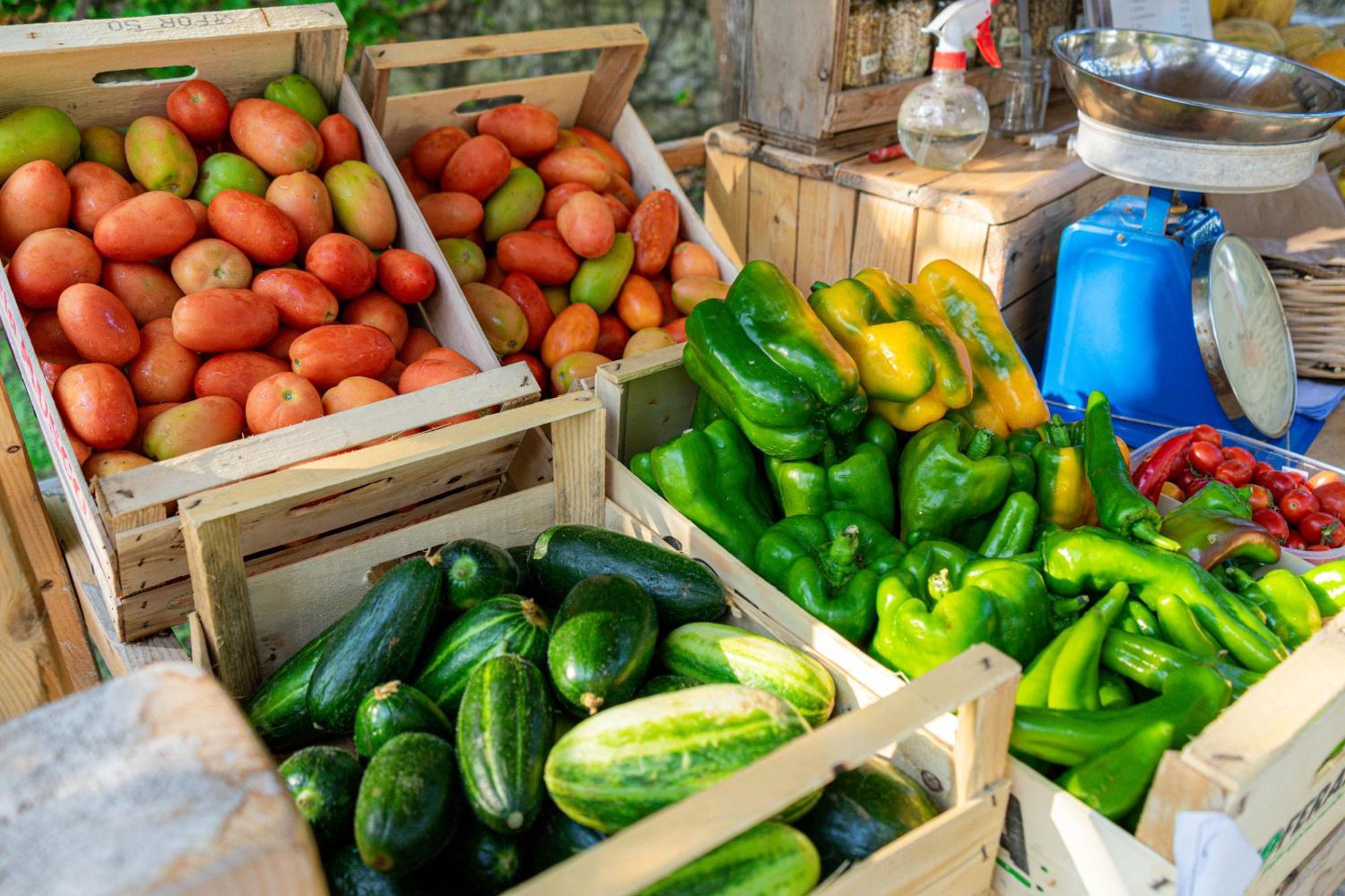 Bio Agriturismo Salos Alimini Eksteriør bilde