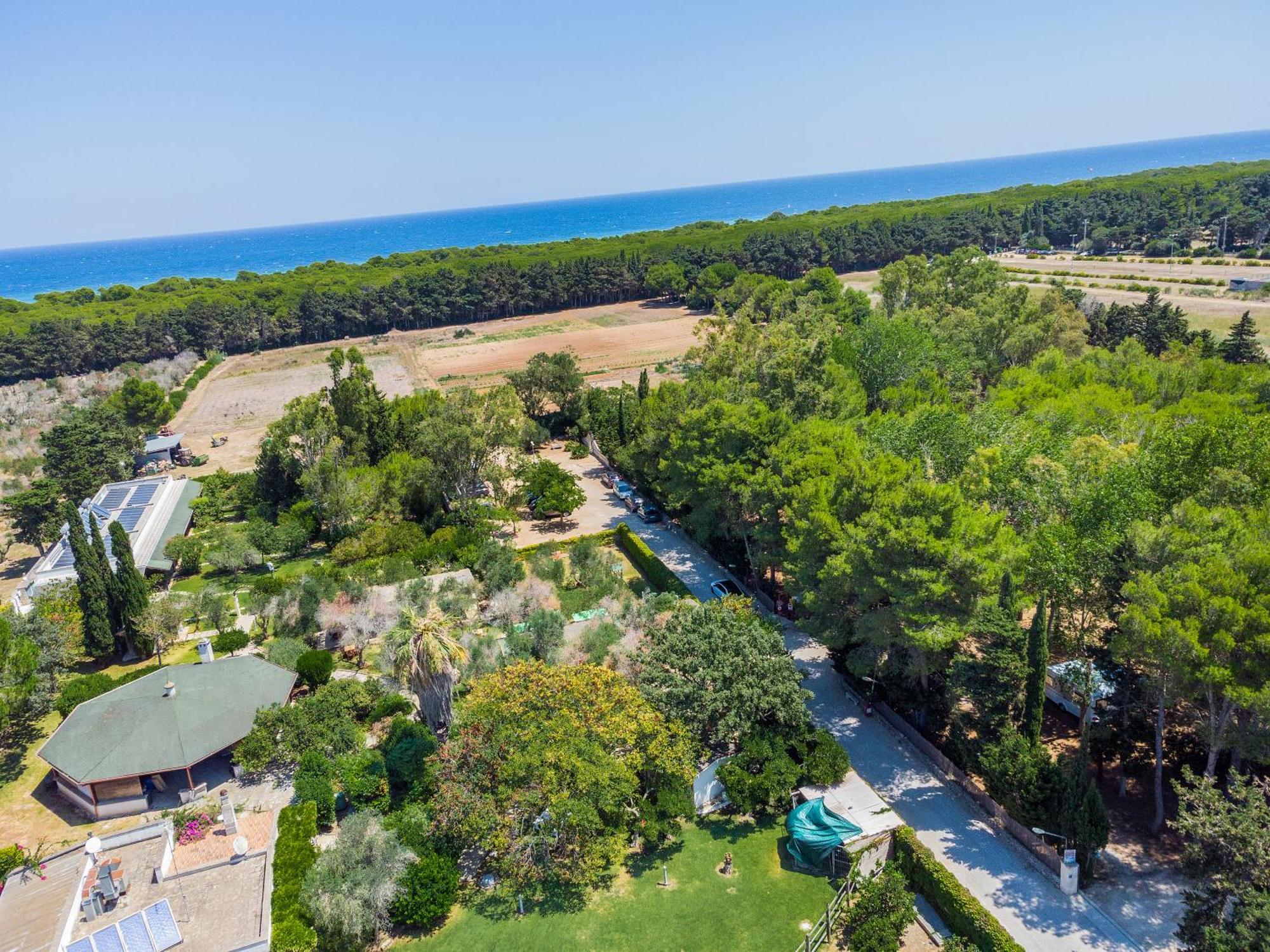 Bio Agriturismo Salos Alimini Eksteriør bilde